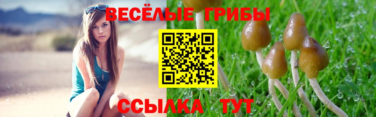 Моршанск  Галлюциногенные грибы GOLDEN TEACHER  Псилоцибиновые грибы Cubensis  Вход с VPN 